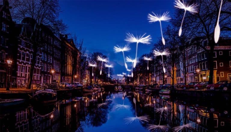Veranstaltungen in Amsterdam: Erlebe es selbst