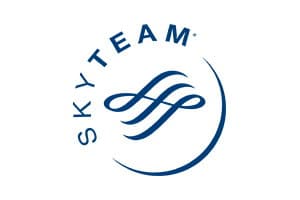 Klant Logo Skyteam