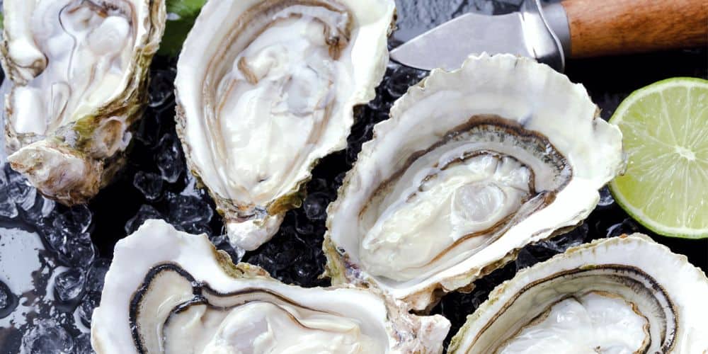Oesters Amsterdam 1