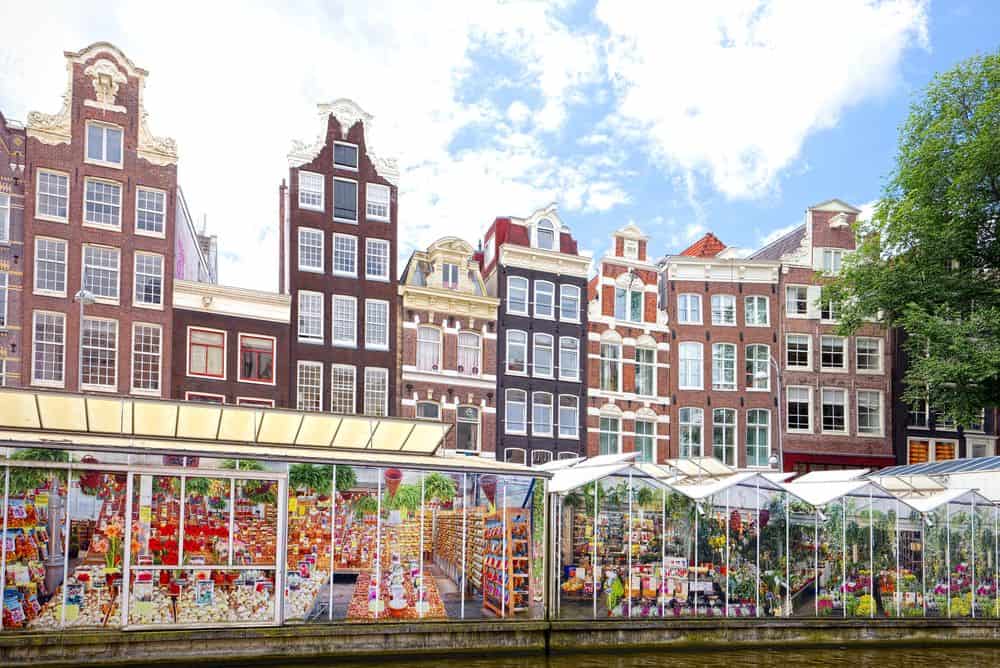 Bloemenmarkt Amsterdam De Amsterdamse Bloemenmarkt