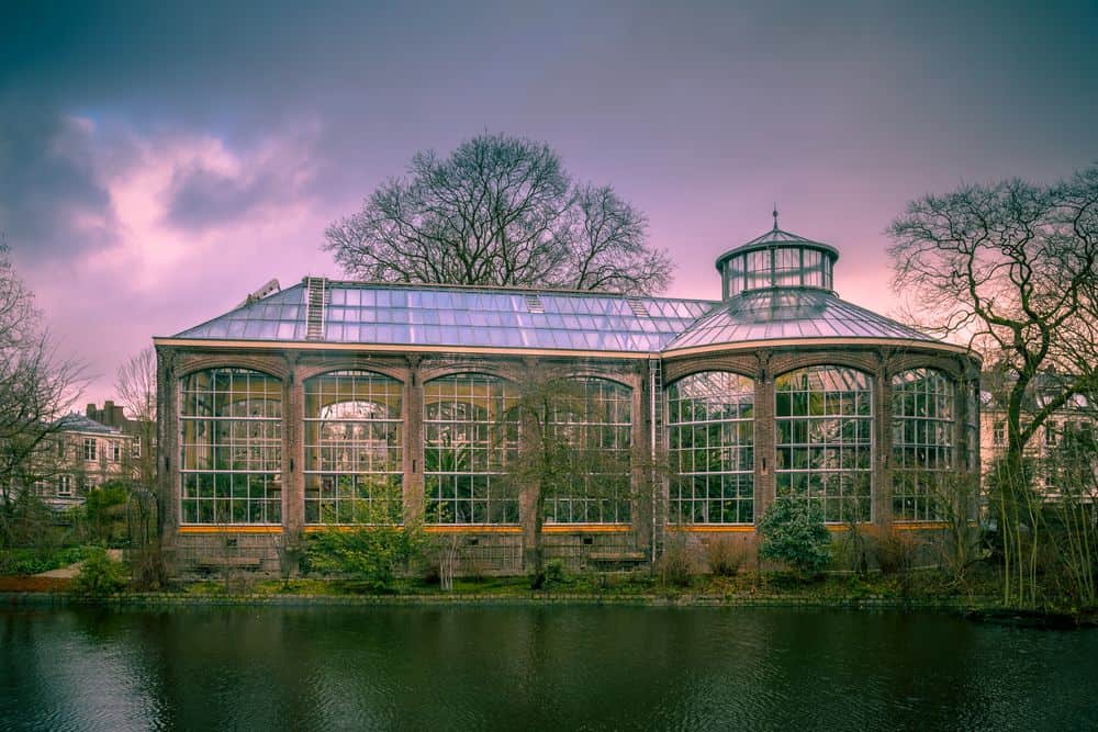 Hortus Botanicus tuin Amsterdam Hortus Botanicus