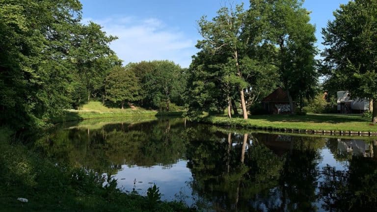 Natuurgebieden Haarlem 2 Natuurgebieden Haarlem 2 768x432 1