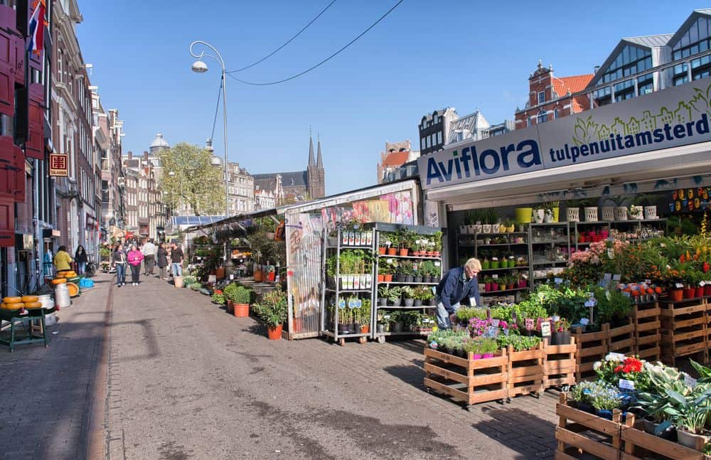 Bloemenmarkt in Amsterdam 1 Bloemenmarkt in Amsterdam