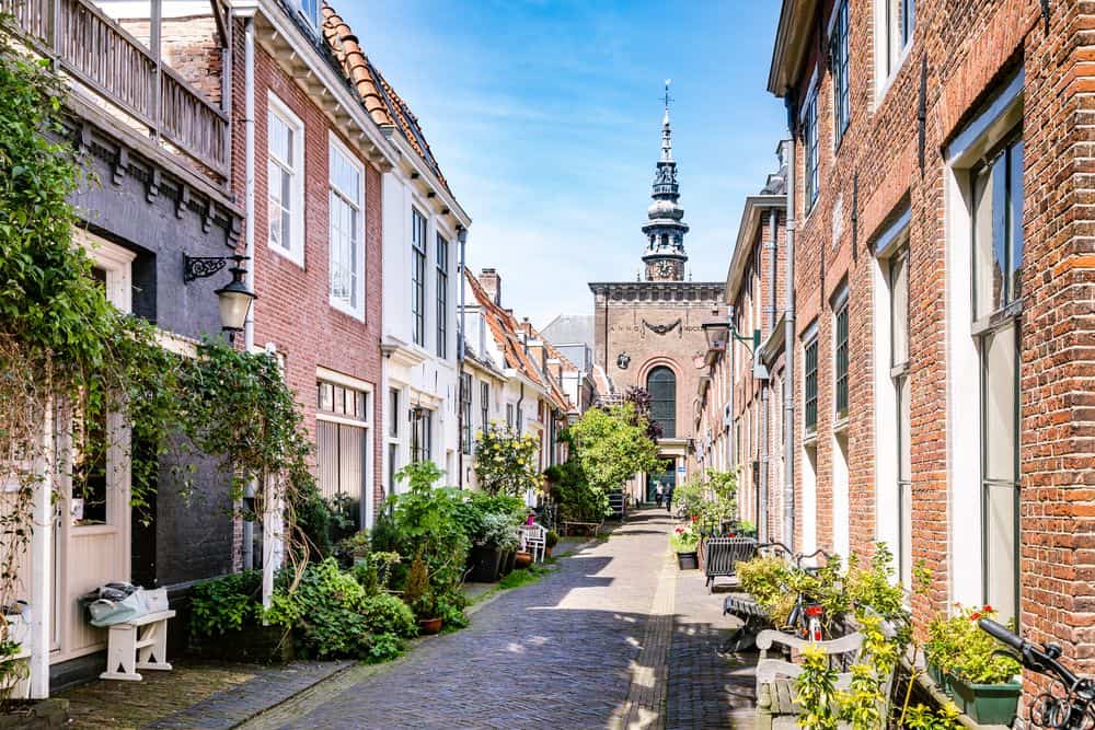 Gouden straatjes in Haarlem Gouden straatjes Haarlem ontdekken
