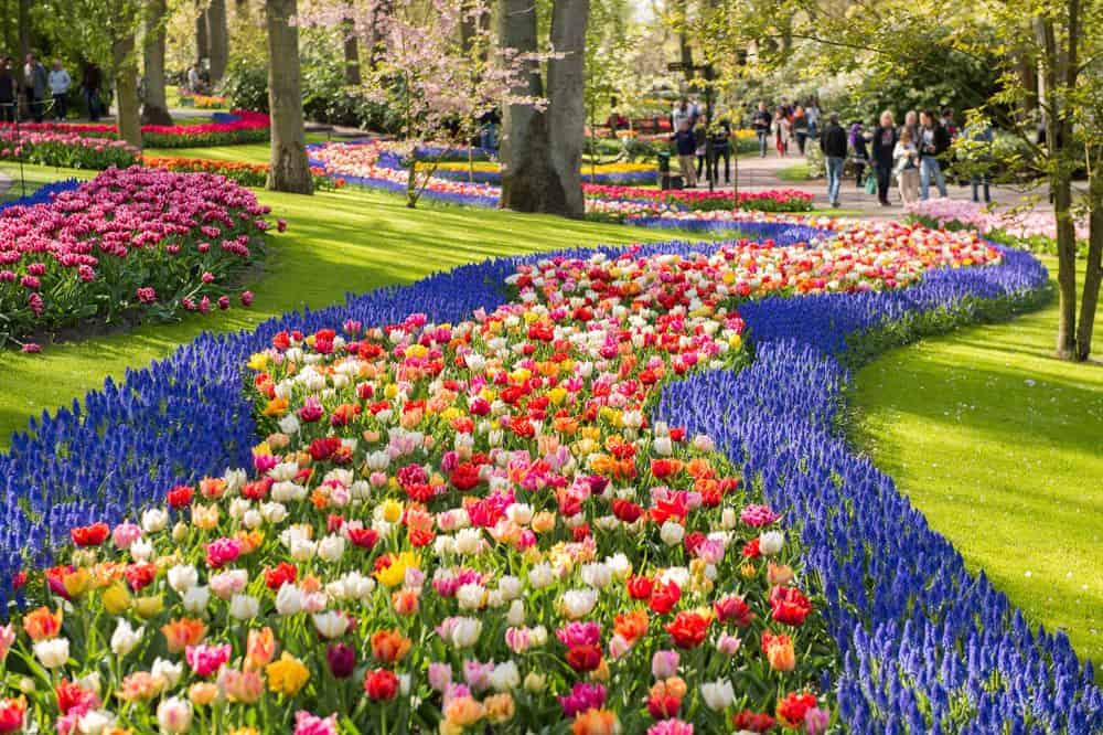 Keukenhof Keukenhof Amsterdam
