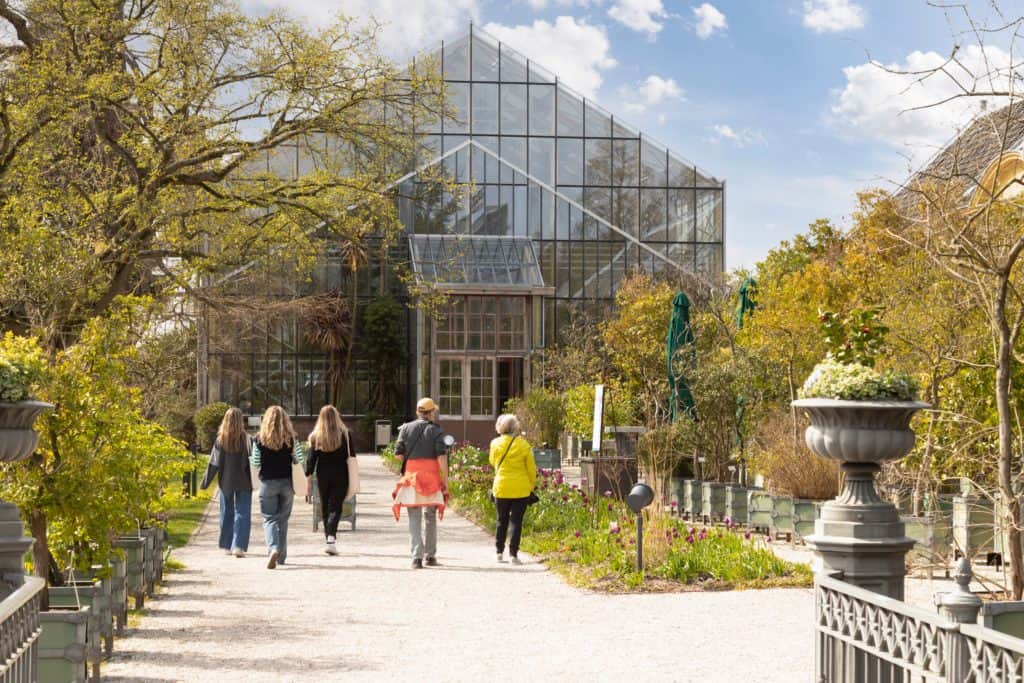 Hortus Botanicus Leiden Mensen lopen bij Hortus Botanicus