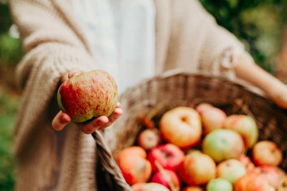 Vrouw houdt appel vast 1 vrouw houdt een appel vast